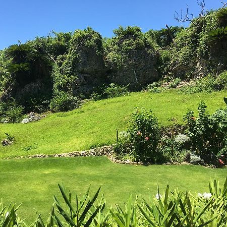 今帰仁村 La Casita Kouriヴィラ エクステリア 写真